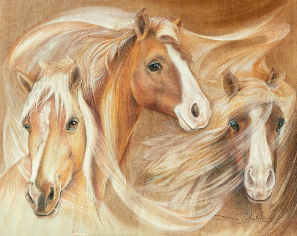 Wild Horses Rescued From Santa Cruz  Art | Joan Marie Art