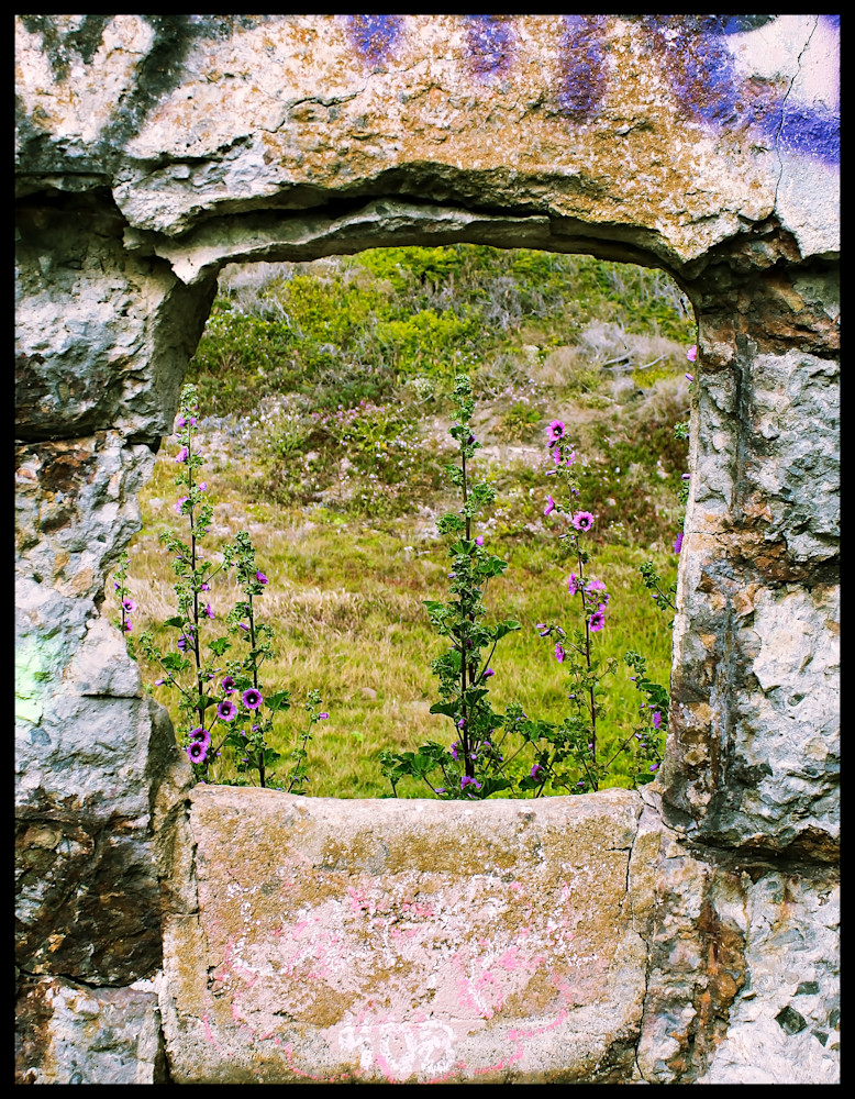 Sutro Baths Portal Consignment Photography Art | Xan Blood Walker Fine Art Photography
