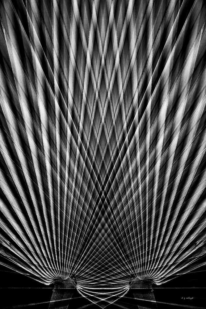 Frondescence no. 3