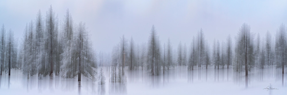 Abstract Winter Trees In Cold Blue Ii   Narrow Photography Art | Niobe Burden Fine Art Photography