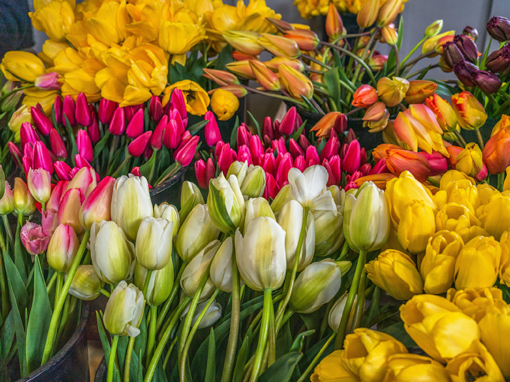 Tulip and Daffodils at the Market