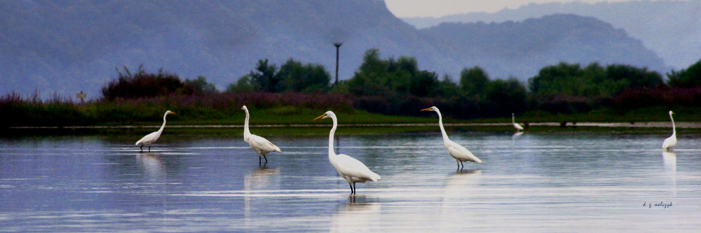 Susquehanna Simpatico 18 4 Photography Art | d. g. walczyk, Vulcania Graphics & Fine Art LLC