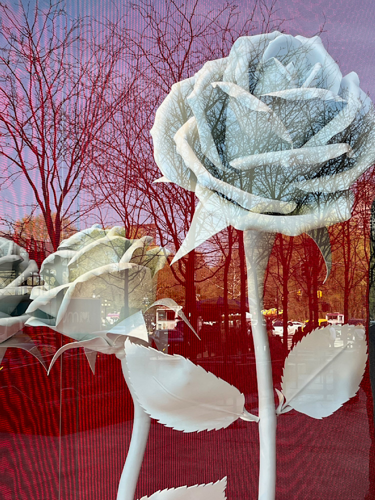Rose Art | Leslie Joy Ickowitz