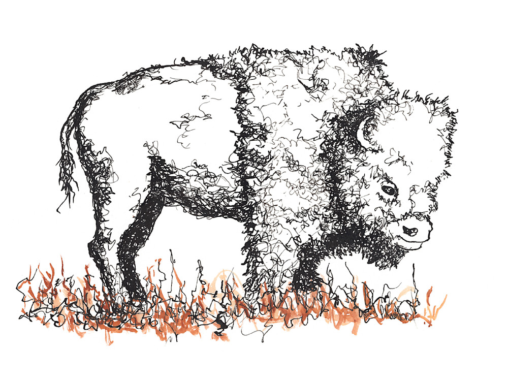 Buffalo Art | Peter Rashford Fine Art
