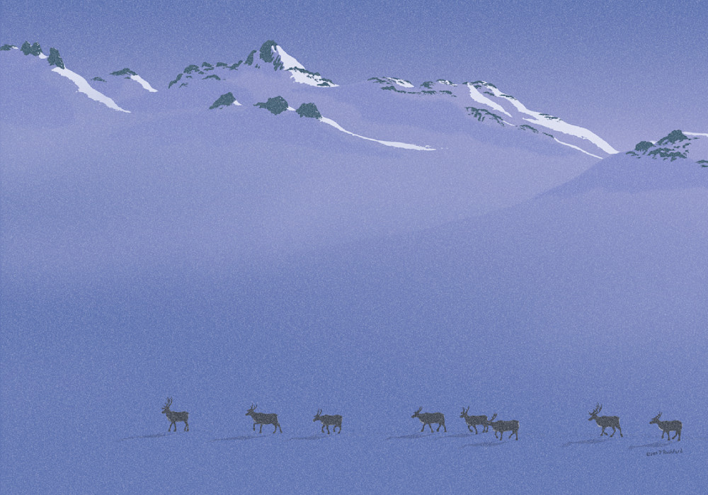 Caribou Trail Art | Peter Rashford Fine Art
