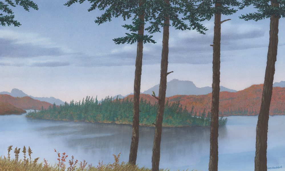 Pine Island Art | Peter Rashford Fine Art