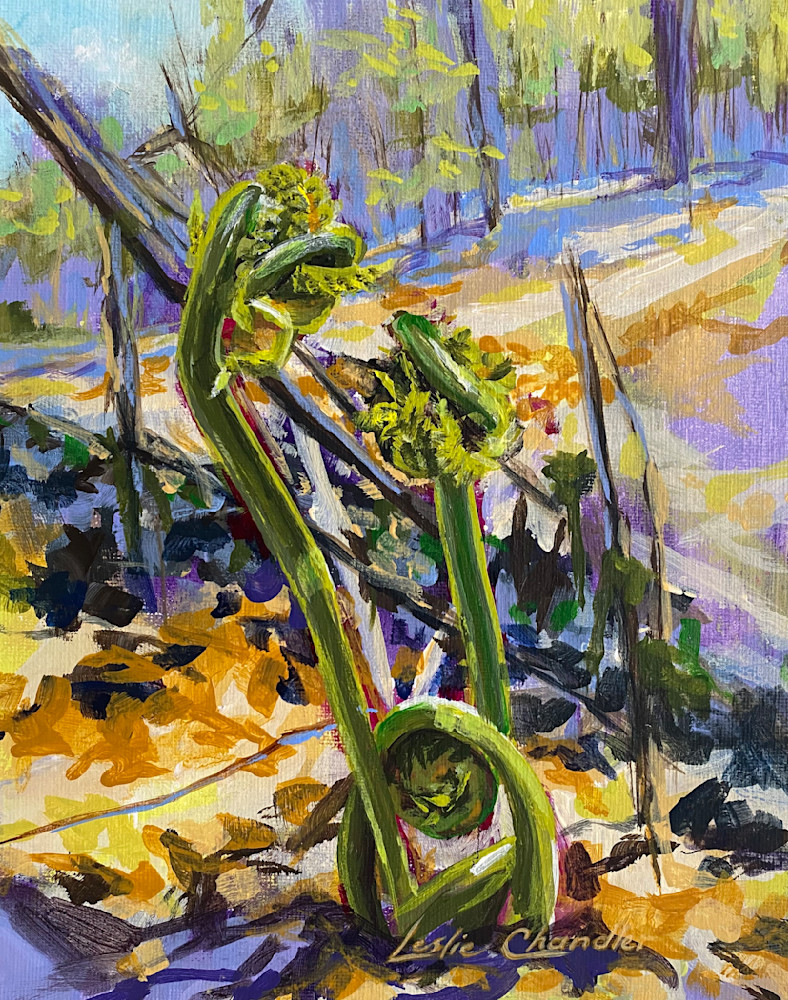 Fiddleheads, green, spring, hope, acrylic painting, canvas, Russell, trail, nature