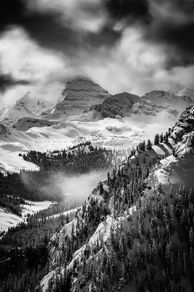 Elk Camp Views Photography Art | Tamara Susa Photography Elk Camp Views Photography Art | Tamara Susa Photography