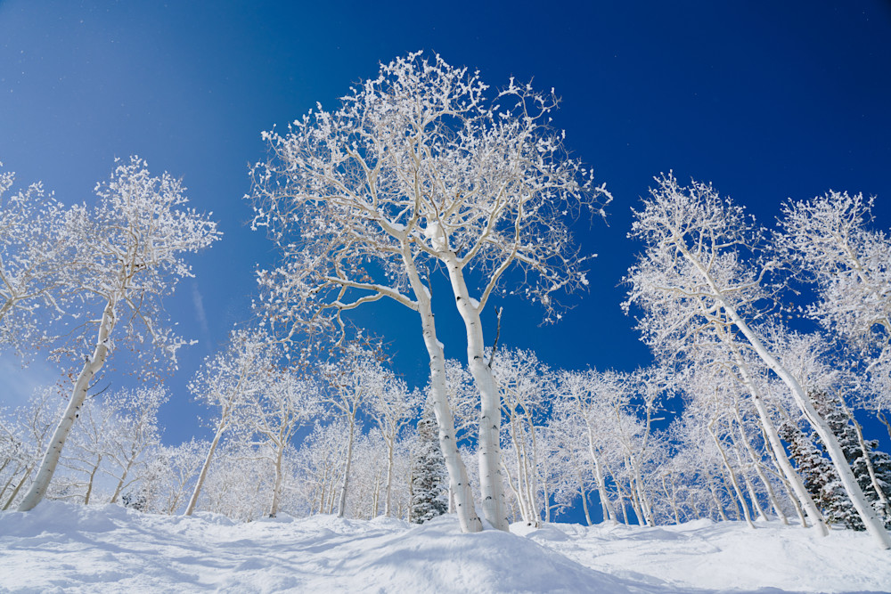 Aspen Mountain Dumps Photography Art | Tamara Susa Photography Aspen Mountain Dumps Photography Art | Tamara Susa Photography