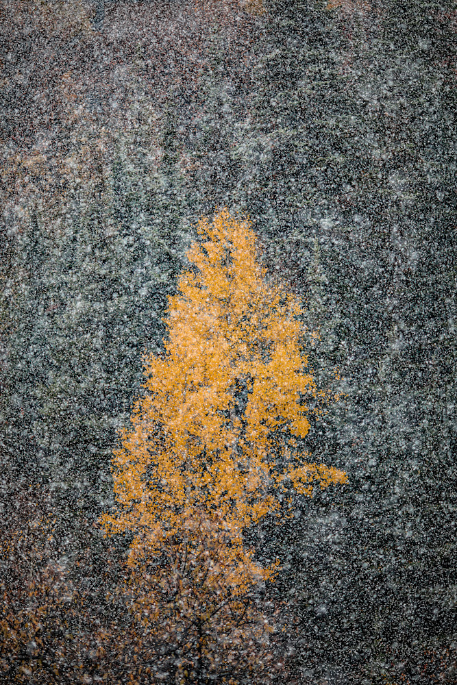 Holding On Photography Art | Tamara Susa Photography Holding On Photography Art | Tamara Susa Photography