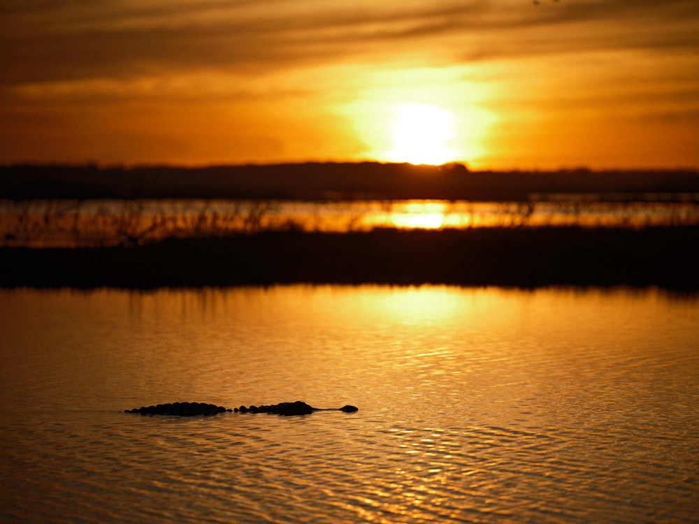 Lake Apopka Sunrise Photography Art | Jesse Coker Photography