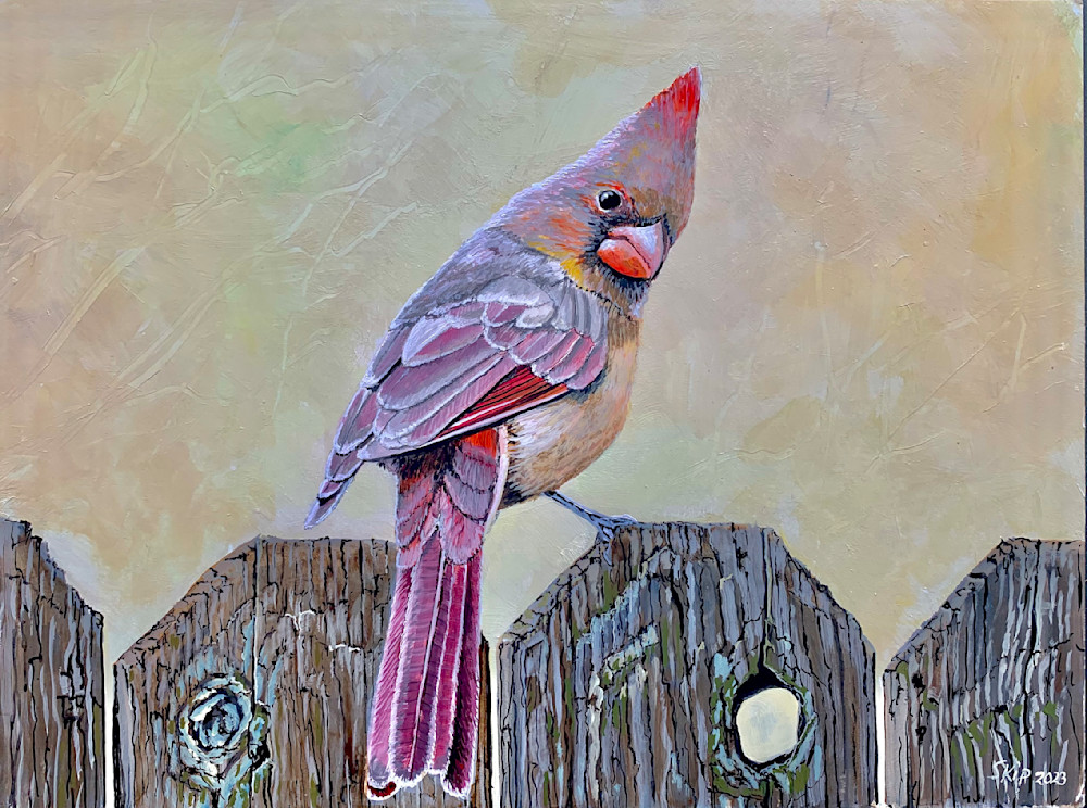 Female Cardinal On Fence Art | Skip Marsh Art