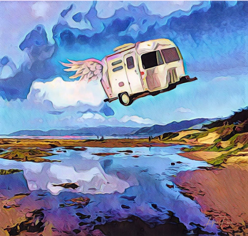 Flying Over The Beach In My Dreams Art | Lynn Pass Art