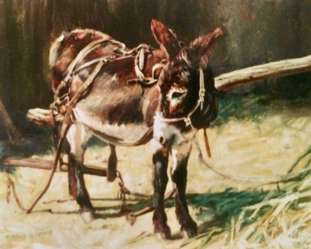 Burro Art | Lesa Delisi, Fine Arts