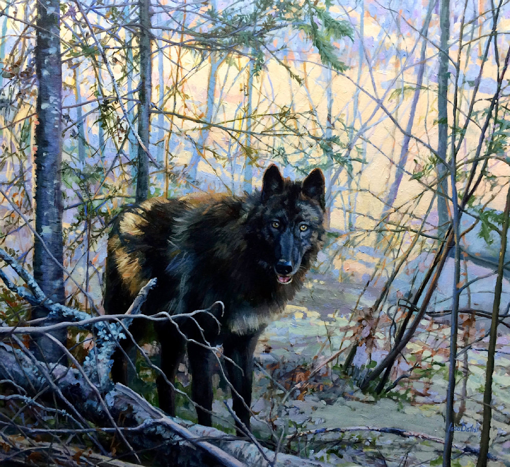 Voice Of The Forest Art | Lesa Delisi, Fine Arts