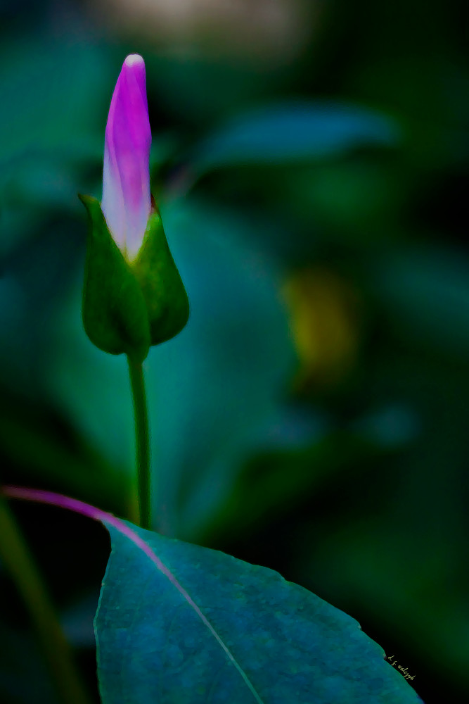 Faerie King's Sceptre