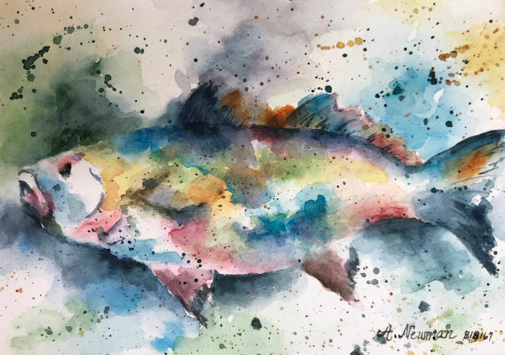 Splash  Fish Art | Arlene Newman Designs