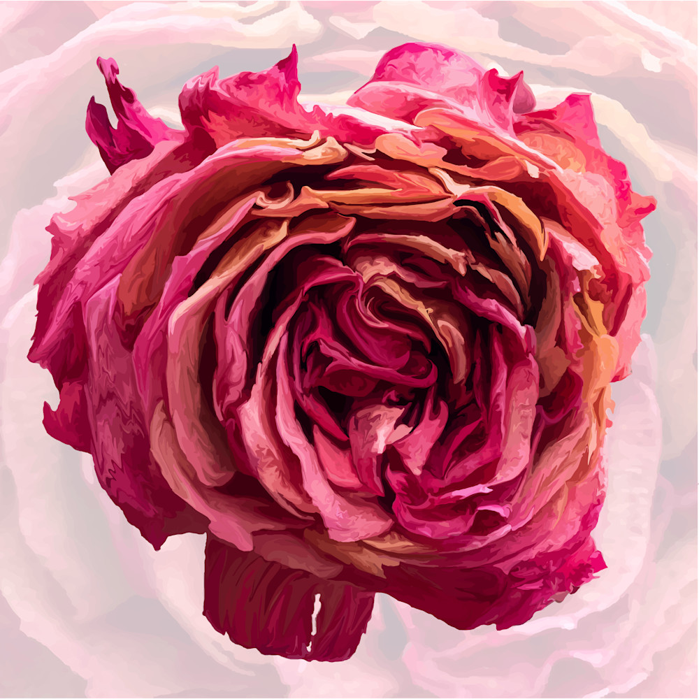 Perseverance Rose Art | Elena Lipkowski Fine Arts