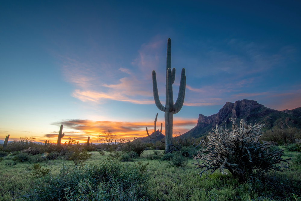 Picacho Peak Green Desert Sunrise Photography Art | davehatton