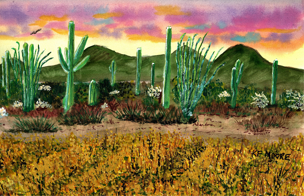 00078 Sonoran Wildflowers Art | KF Moore Watercolors