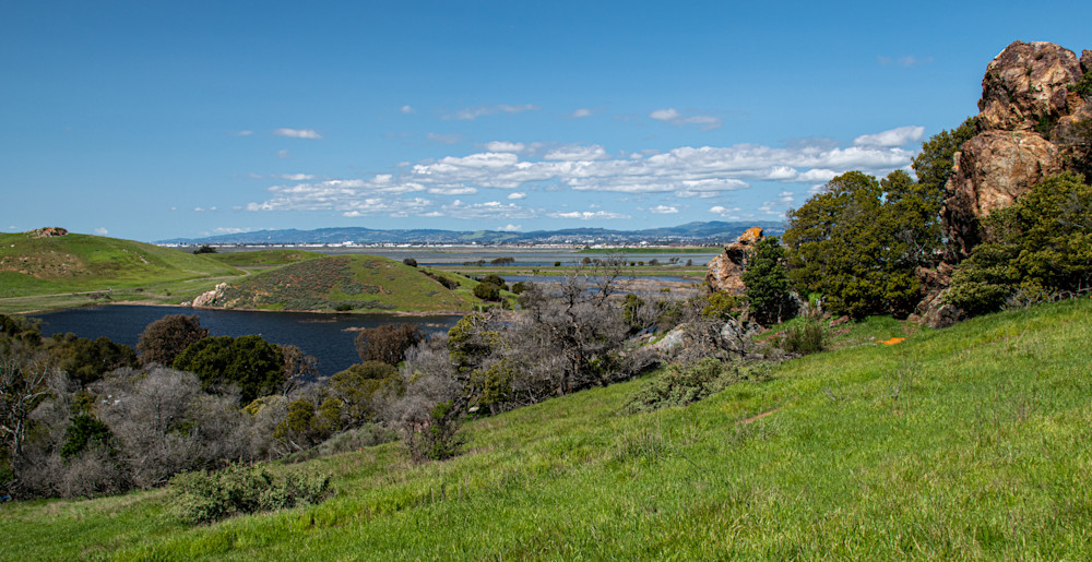 Coyote Hills East Bay Photography Art | Scott Capen Photography