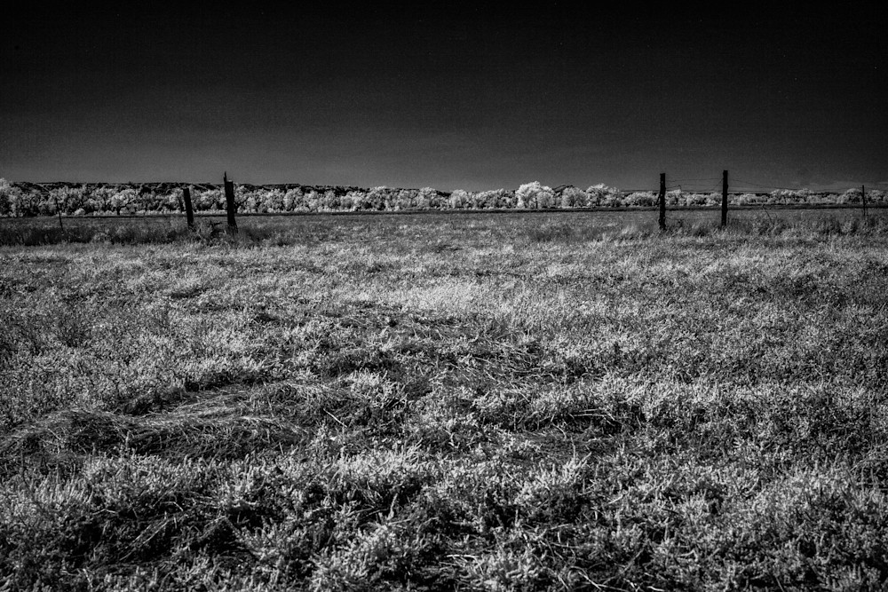 Whispers Of The Barbed Horizon Photography Art | Kevin Morris Photography USA