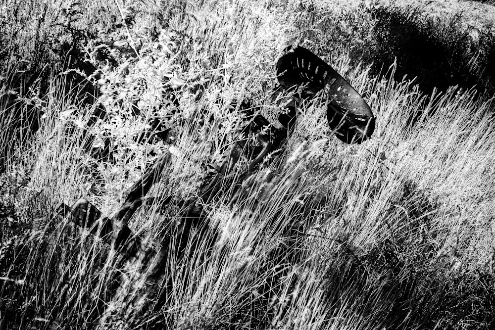 Rust And Weave In A Grassy Matrix Photography Art | Kevin Morris Photography USA