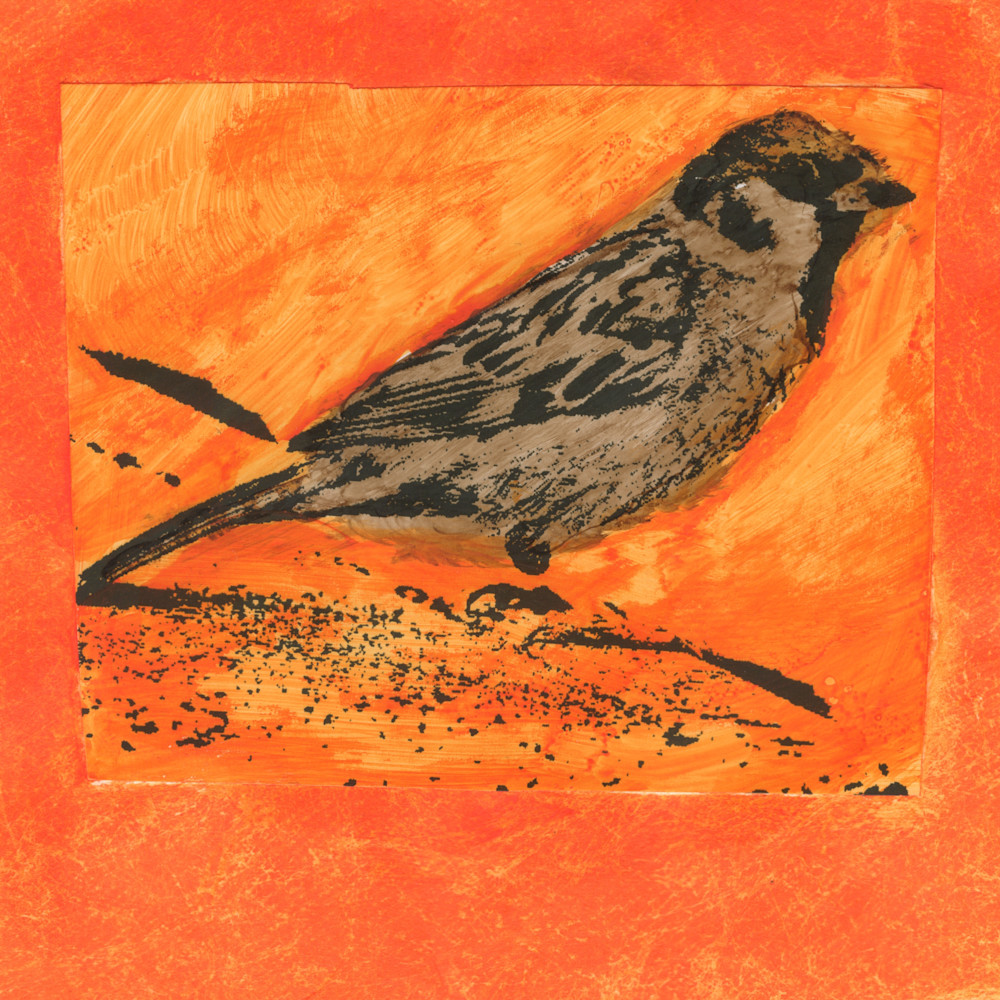 Sparrow In Orange Art | Mark Rushton