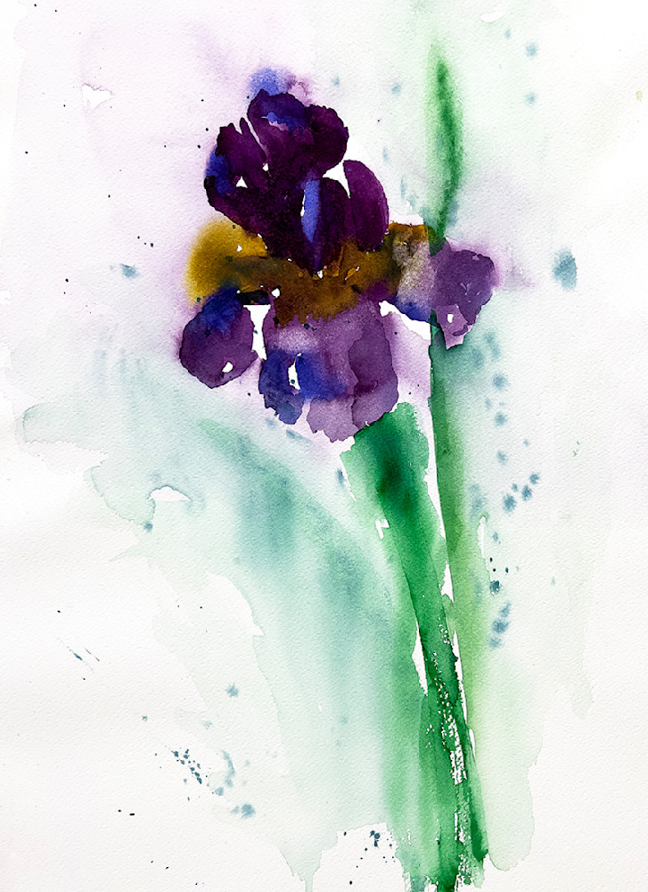 Purple Iris Art | Roann Mathias