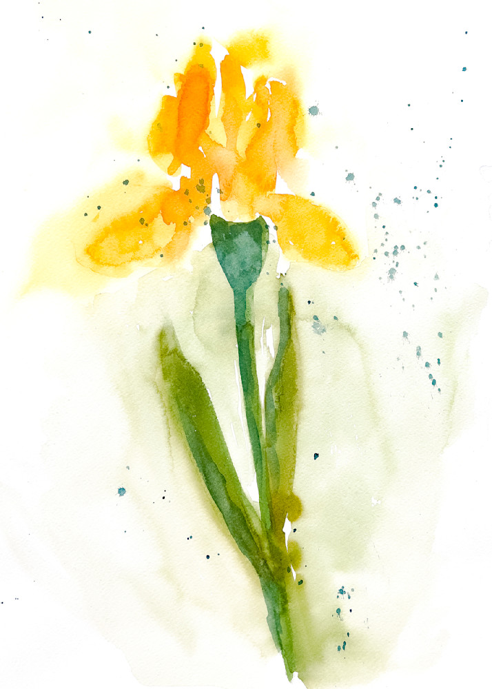 Yelow Iris Art | Roann Mathias