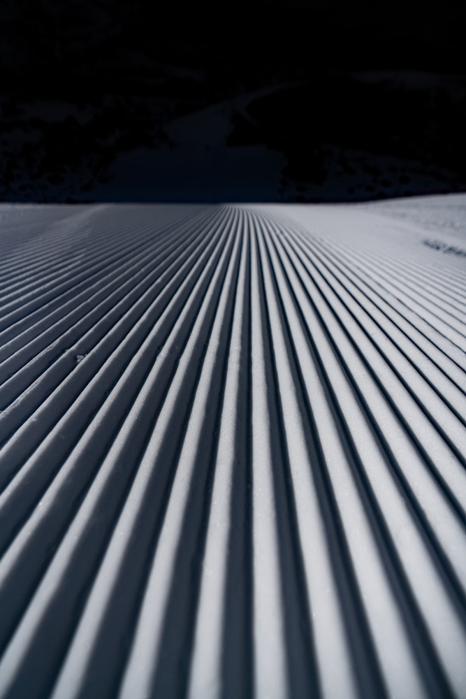 Perfect Corduroy Photography Art | Tamara Susa Photography
