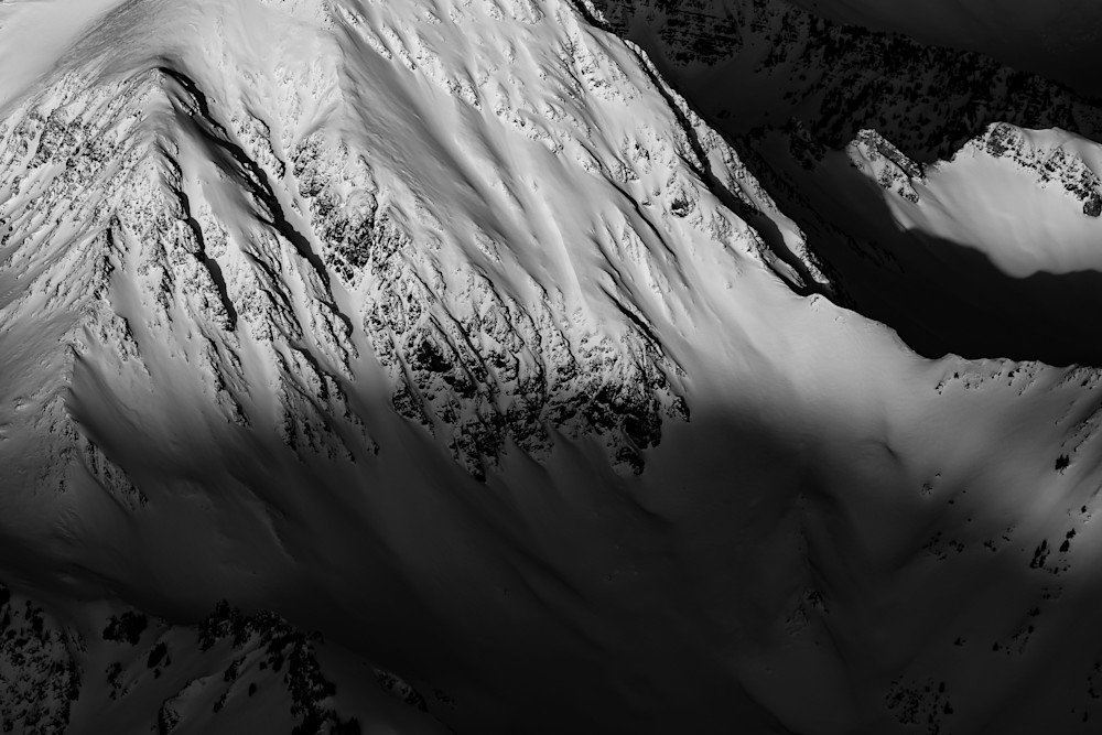 Daly Photography Art | Tamara Susa Photography Daly Photography Art | Tamara Susa Photography