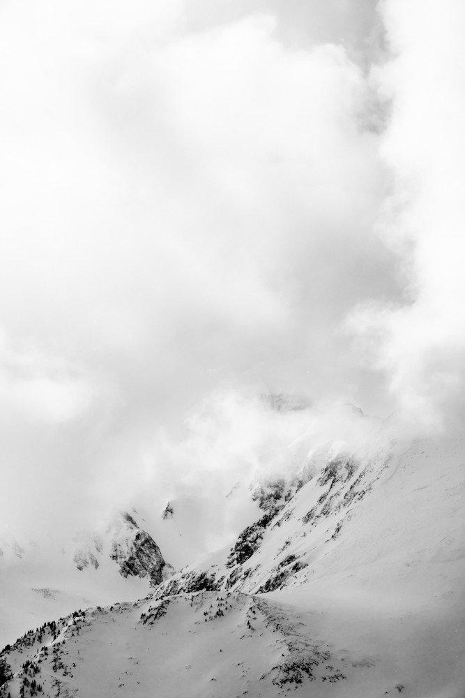 Whiteout Photography Art | Tamara Susa Photography Whiteout Photography Art | Tamara Susa Photography