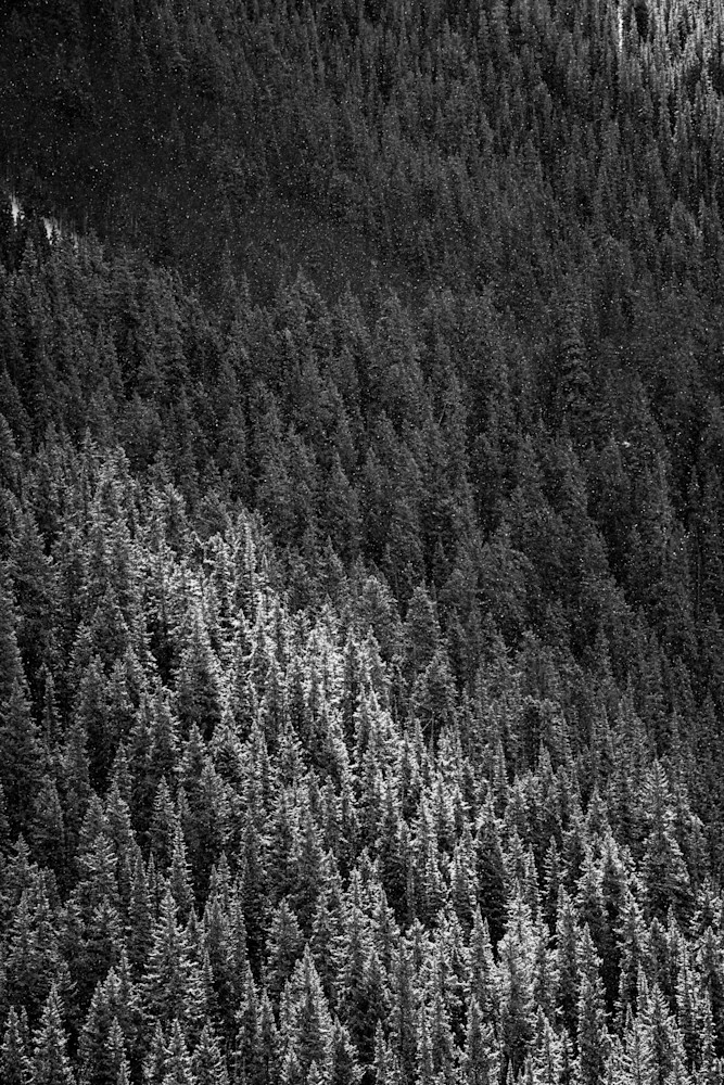 Glow Photography Art | Tamara Susa Photography Glow Photography Art | Tamara Susa Photography