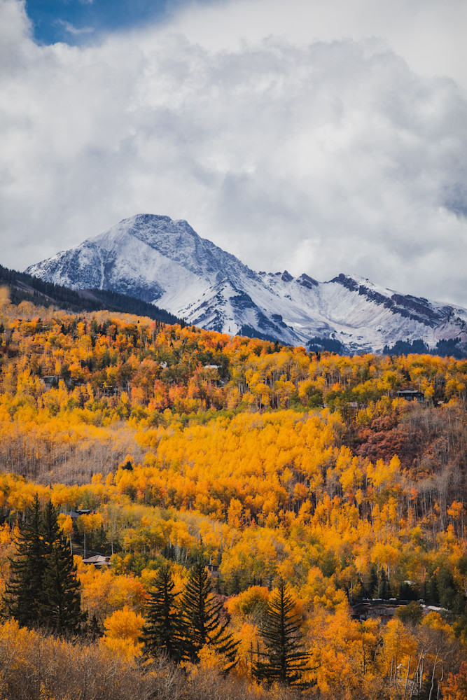 Fresh Coat On Daly Photography Art | Tamara Susa Photography Fresh Coat On Daly Photography Art | Tamara Susa Photography