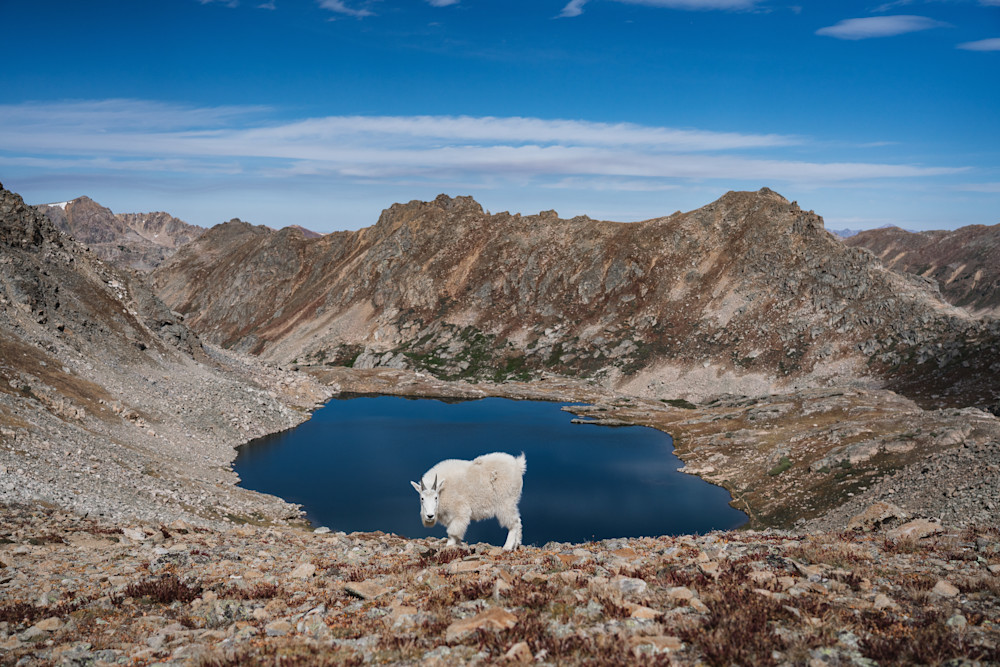 Posing For A Photo Photography Art | Tamara Susa Photography Posing For A Photo Photography Art | Tamara Susa Photography