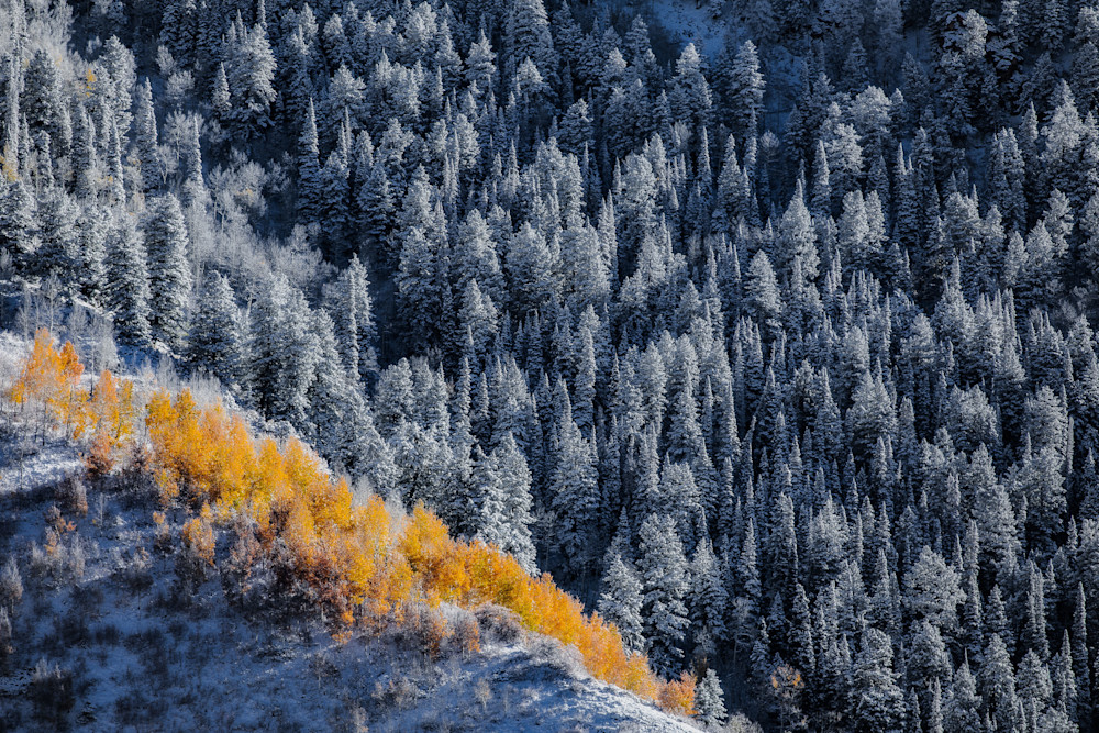 Golden Divide – Colorado Fall Meets Winter Fine Art Print Golden Divide – Colorado Fall Meets Winter Fine Art Print