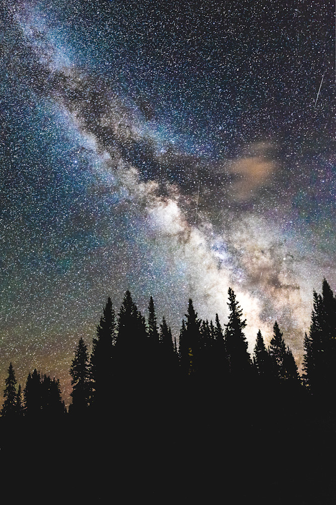 Stars Above Aspen Photography Art | Tamara Susa Photography Stars Above Aspen Photography Art | Tamara Susa Photography