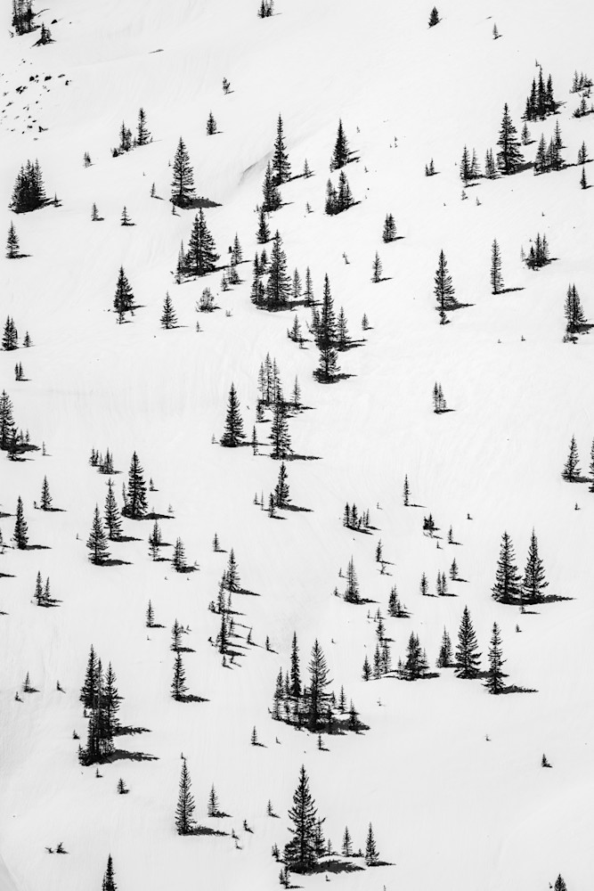 Simplicity Photography Art | Tamara Susa Photography Simplicity Photography Art | Tamara Susa Photography