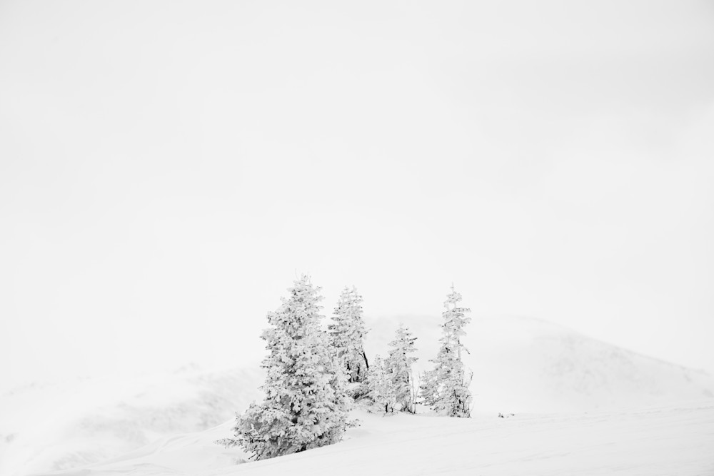 Snowed In Photography Art | Tamara Susa Photography Snowed In Photography Art | Tamara Susa Photography