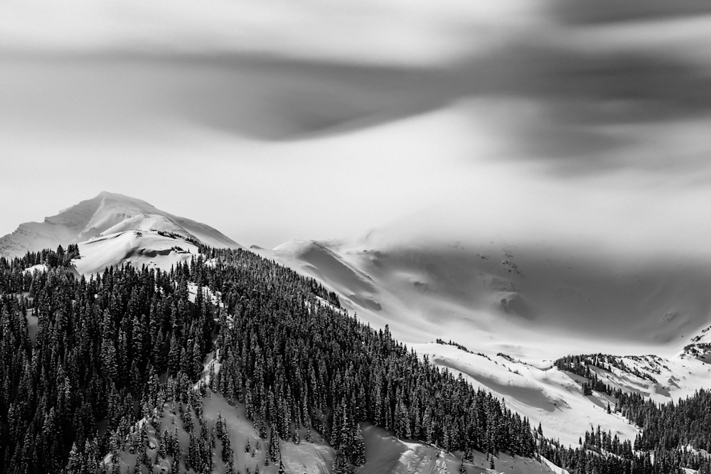 Blurred Lines Photography Art | Tamara Susa Photography Blurred Lines Photography Art | Tamara Susa Photography