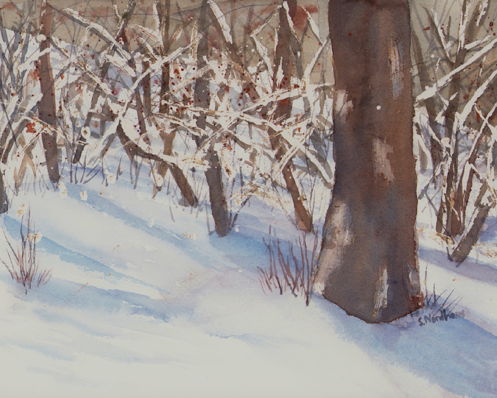 My Winter Woods Art | Trails Edge Fine Art