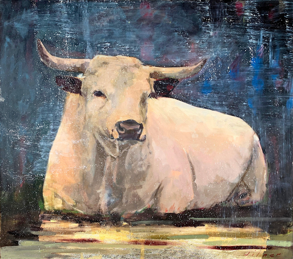 Bull Art | Amanda Wilner Art