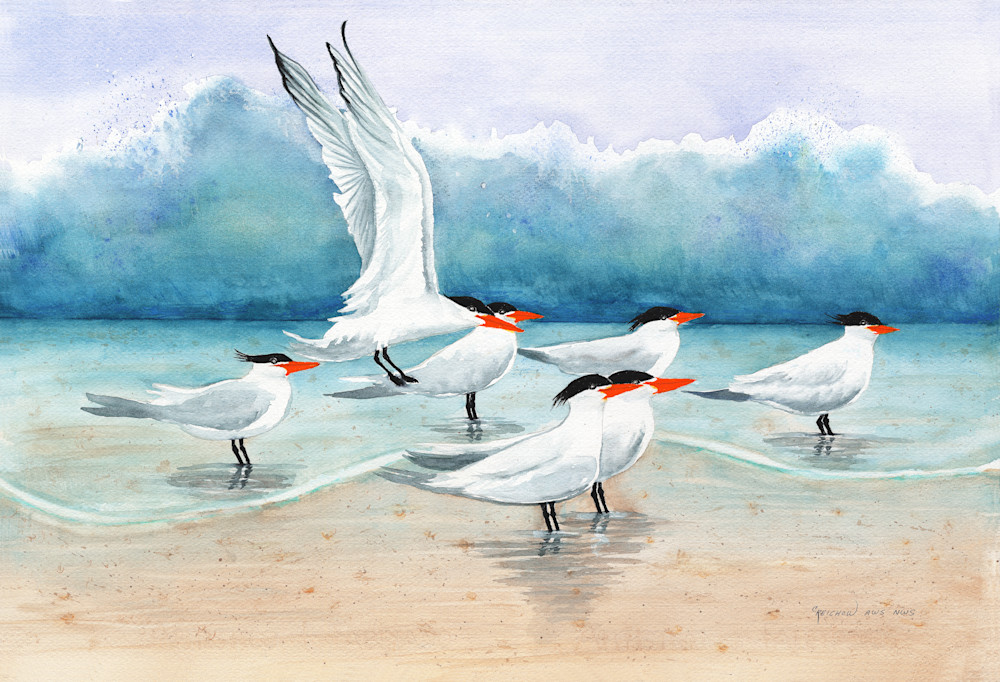 As The World Terns Art | Christine Reichow Inc.