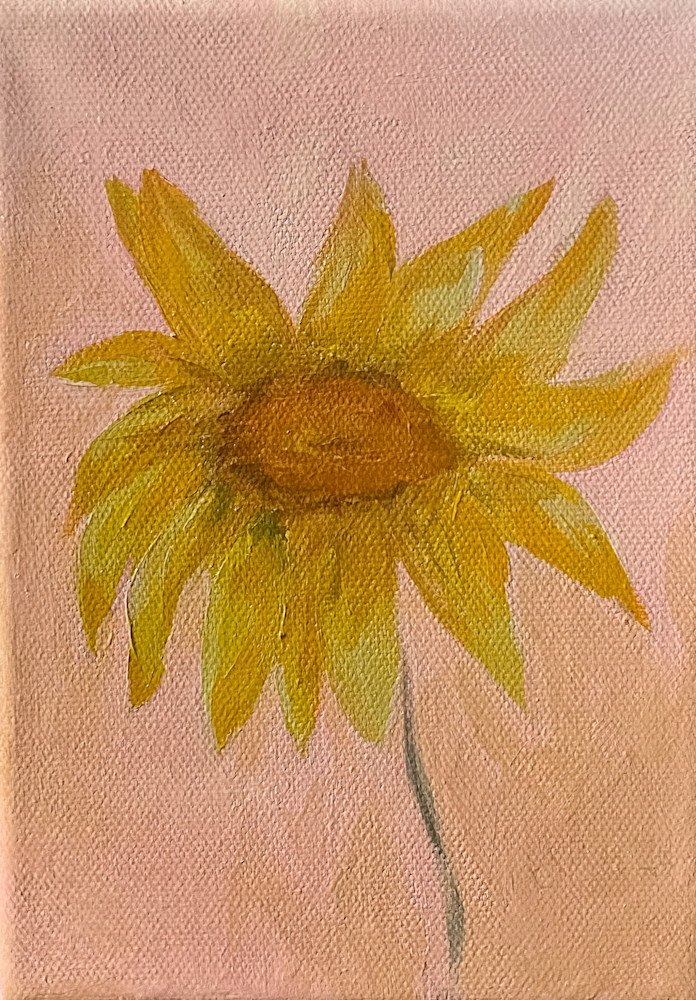 Arnica, Ynp Art | ELD Art