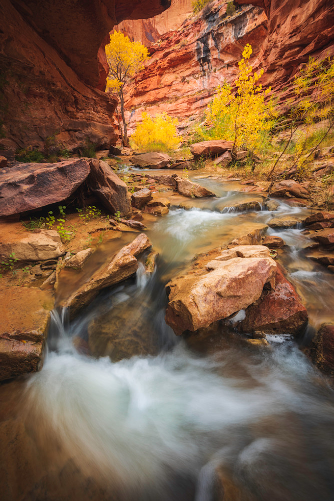Master Of The Canyon Photography Art | Rich Vintage Photography