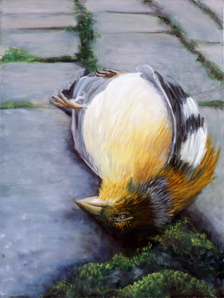 Robin Art | Ashli Kingfisher Art