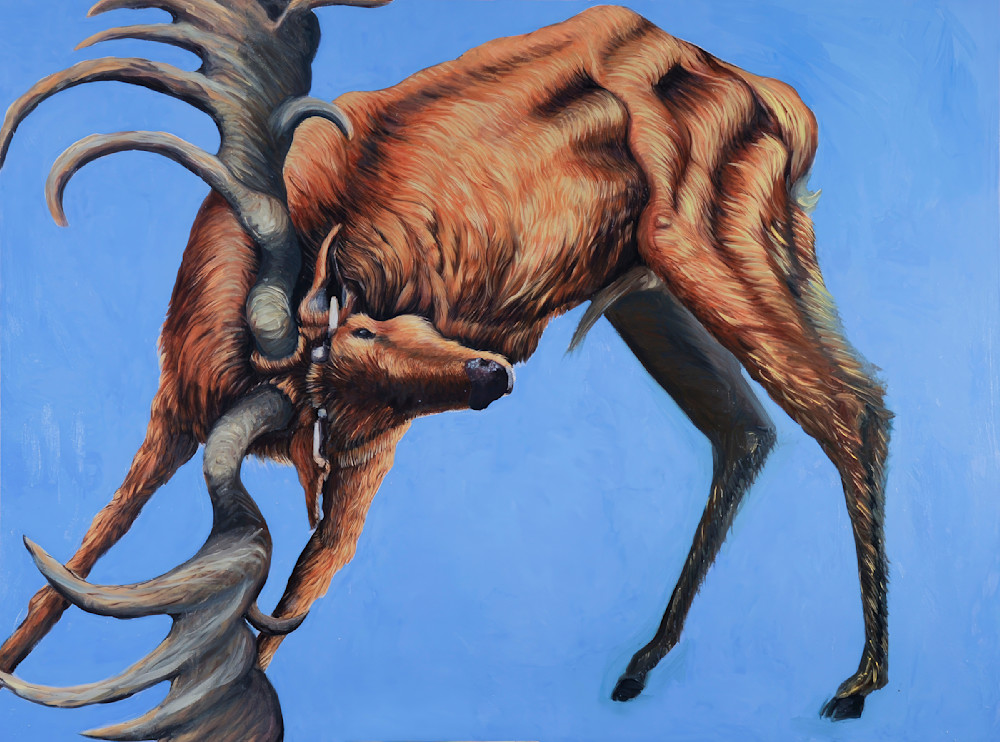  Giant Irish Elk Art | Ashli Kingfisher Art