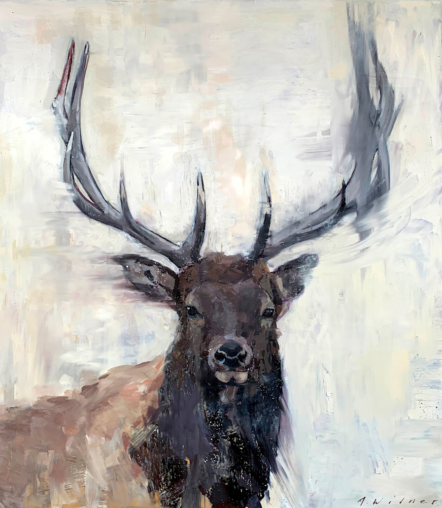 Bull Elk Art | Amanda Wilner Art