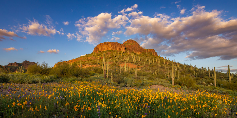 Superstition Mountain Spring - Wall Art | Thomas Watkins Photography